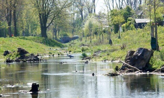 Fotowettbewerb in Toulouse und Düsseldorf zum Thema Anpassung an den Klimawandel