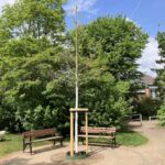 Zum Tag des Baumes: Landeshauptstadt Düsseldorf pflanzt Rot-Eiche am Kinderspielplatz in der Elsa-Brändström-Straße