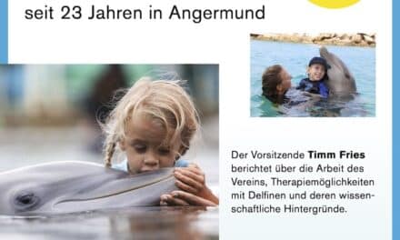 Delfine sind heilsam