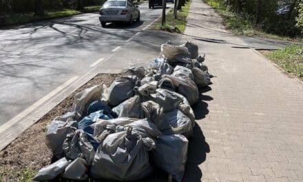 Dreck-weg-Tag in Kaiserswerth