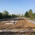 Mikroabenteuer vor der Haustür: Mietgartensaison in Düsseldorf eröffnet