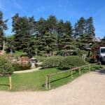 Nordpark: Stadt schneidet Kiefern im Japanischen Garten