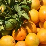 Frische Obstsalate und ‑säfte: Was beim Kauf zu beachten ist