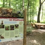 Den Stadtwald erkunden und Neues lernen: Stadt eröffnet Waldlehrpfad