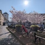 ﻿In Kaiserswerth wird philosophiert