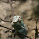 “Entdecken, Staunen, Mitmachen”: Sommerferienaktionen im Aquazoo Löbbecke Museum