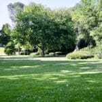 “Unterwegs im Grünen”: Im Juli bietet die Stadt Führungen an