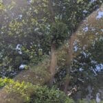 Würdiger Rahmen für ein wichtiges Thema