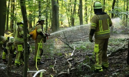 Feuerwehr Düsseldorf stellt Wald- und Flurbrandbekämpfung in den Fokus
