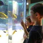 Aquazoo Kids-Club: Natur erleben, Tiere entdecken, Forschergeist wecken
