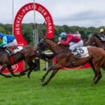 Internationale Klasse für Düsseldorf: Royal-Ascot-Siegerin „Garden Of Eden“ nachgenannt für den 167. Henkel-Preis der Diana