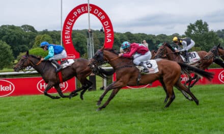 Internationale Klasse für Düsseldorf: Royal-Ascot-Siegerin „Garden Of Eden“ nachgenannt für den 167. Henkel-Preis der Diana