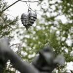 Abgeräumt im Lantz’schen Park