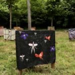 Am 14. September ist das Parkfest in Lohausen