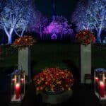 Landeshauptstadt illuminiert den Nordfriedhof