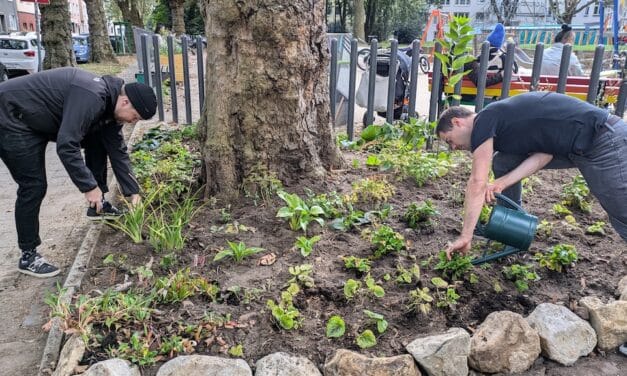 Zukunftspreis Düsseldorf 2025: Finale Abstimmung startet