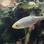 Tierische Ferienaktionen im Aquazoo Löbbecke Museum