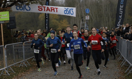 Jetzt anmelden für den 47. Martinslauf am Unterbacher See