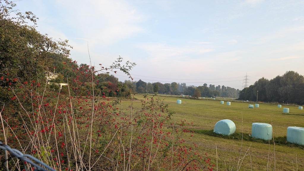 Auf dieser Wiese Am Fettpott soll die neue Ortsmitte von Angermund entstehen. So will es nicht nur die Politik, auch die Institutionen und Vereine© Gabriele Schreckenberg