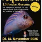 Was den Aquazoo so besonders macht