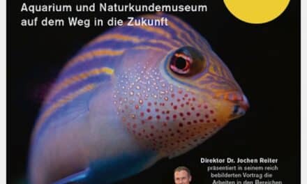 Was den Aquazoo so besonders macht