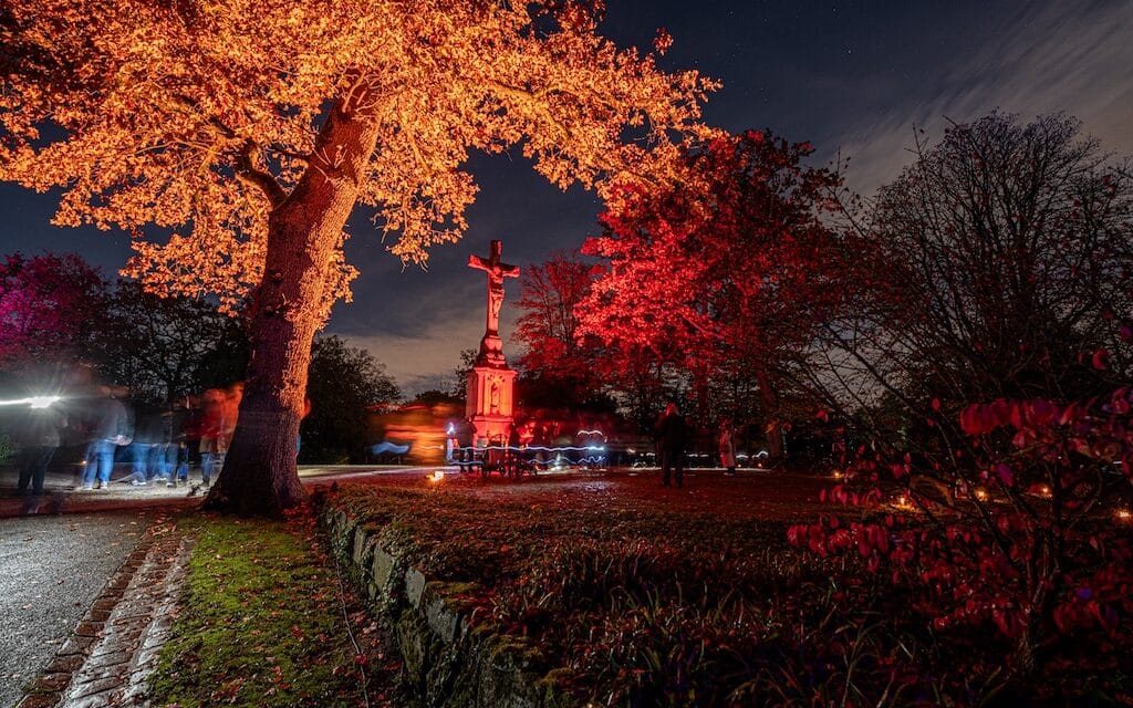 Farben des Gedenkens – Der Nordfriedhof Düsseldorf erstrahlt zu Allerheiligen