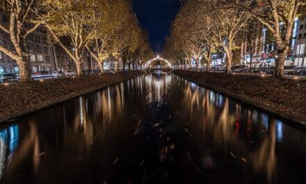 Lichterglanz auf der Kö: Vorweihnachtszeit in Düsseldorf offiziell eröffnet