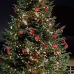 Der Tannenbaum leuchtet in Angermund