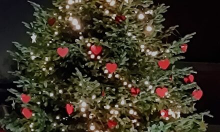 Der Tannenbaum leuchtet in Angermund