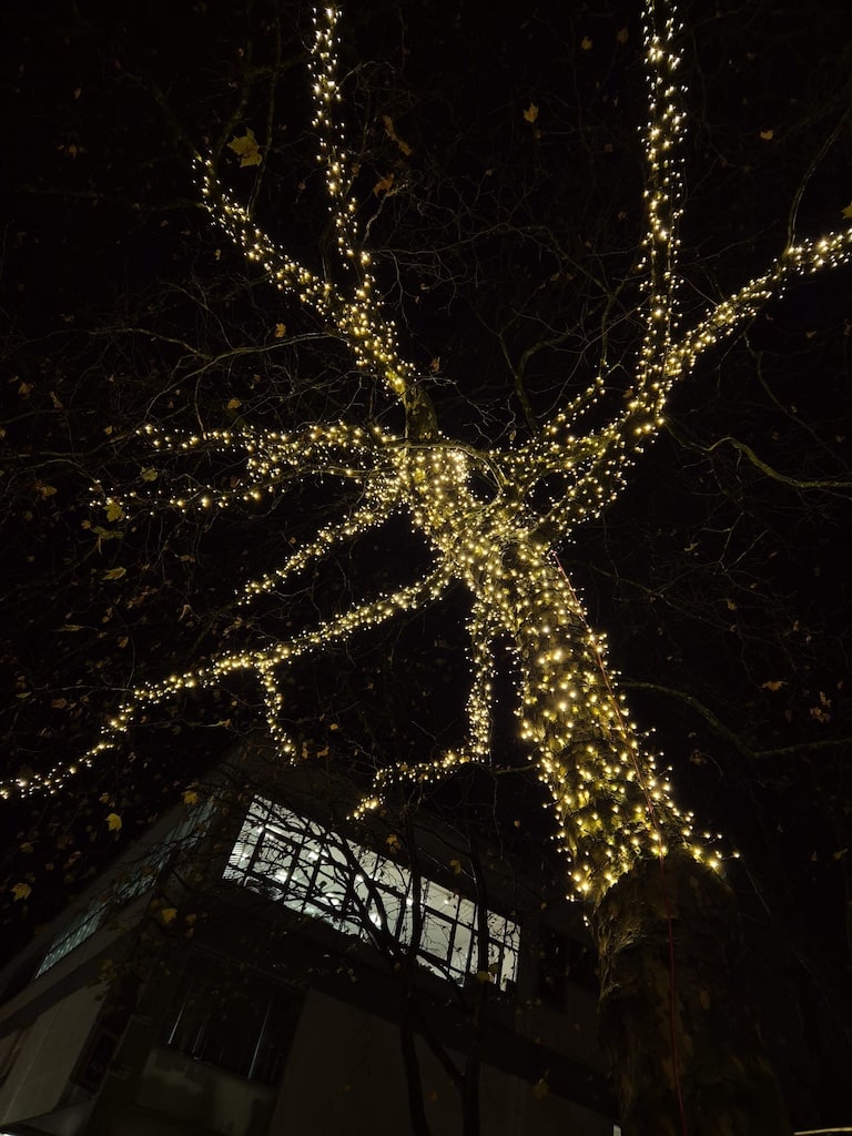 Große Platane auf dem Heinrich-von-Brentano-Platz in Garath erstrahlt bis Ende Januar dauerhaft im Licht © Stadt + Handel Große Platane auf dem Heinrich-von-Brentano-Platz in Garath erstrahlt bis Ende Januar dauerhaft im Licht © Stadt + Handel