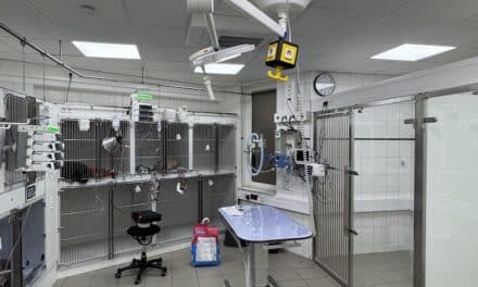 Tierklinik Düsseldorf baut Intensivstation aus – eine der größten in Deutschland