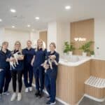 Haustierboom in Düsseldorf: Neue Praxis will Tierärzte entlasten