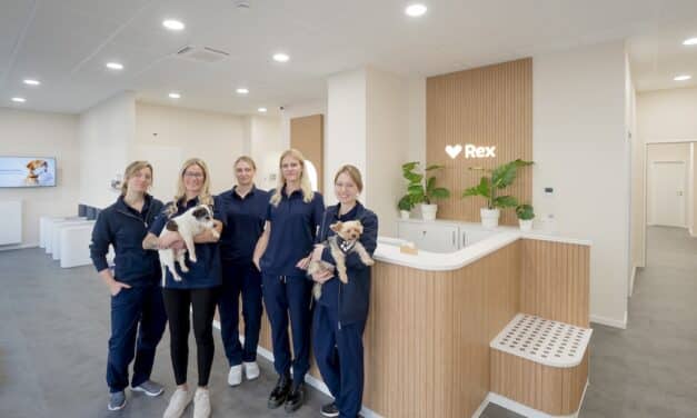 Haustierboom in Düsseldorf: Neue Praxis will Tierärzte entlasten