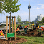 Trotz erschwerter Bedingungen – Stadt hält Zahl der Neupflanzungen hoch