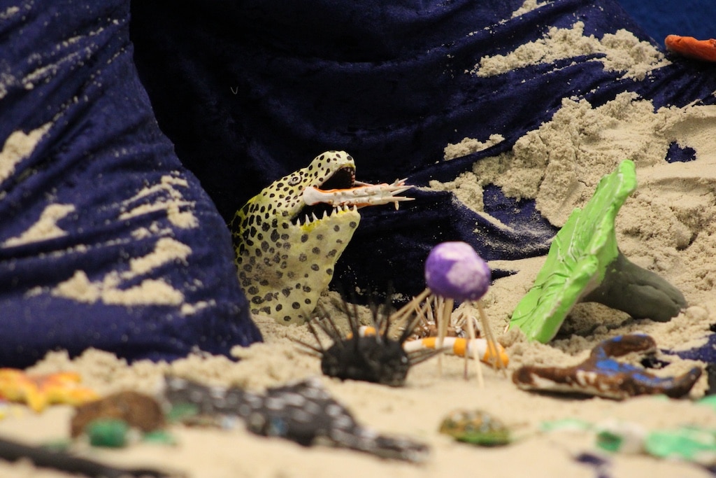 Am Aquazoo-Bastelstand können interessierte Kinder und Erwachsene sogar ihre Lieblings-Meerestiere modellieren und gemeinsam ein farbenfrohes Korallenriff erschaffen © Aquazoo Löbbecke Museum